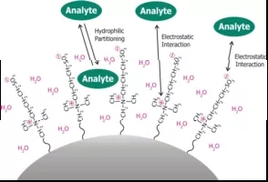 1620704408188393.jpg 2.webp.jpg