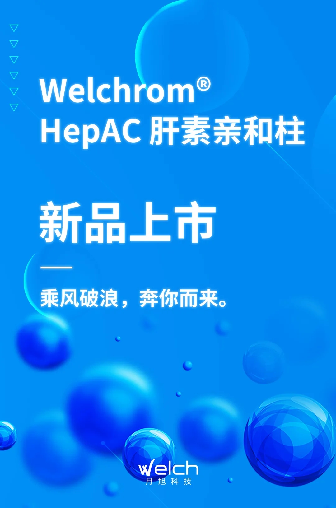 1622097910124551.jpg 1.webp.jpg