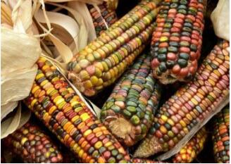 1641542732233662.jpg 2.jpg