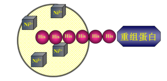 1661240505114206.png 微信截圖_20220823154056.png